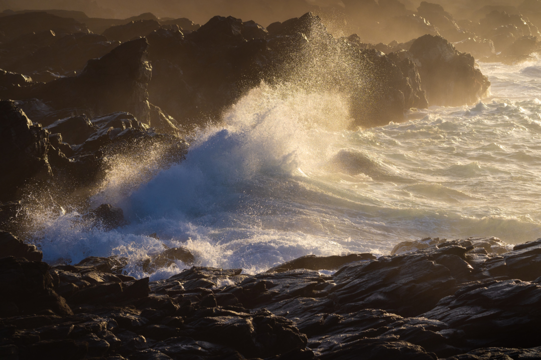 Powerful wave crashing against rocky shore in warm golden light, Gran Canaria
